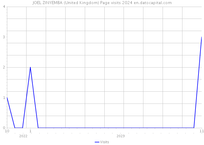 JOEL ZINYEMBA (United Kingdom) Page visits 2024 