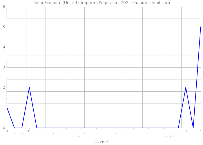 Reda Bedjaoui (United Kingdom) Page visits 2024 