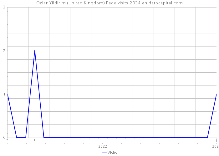 Ozler Yildirim (United Kingdom) Page visits 2024 
