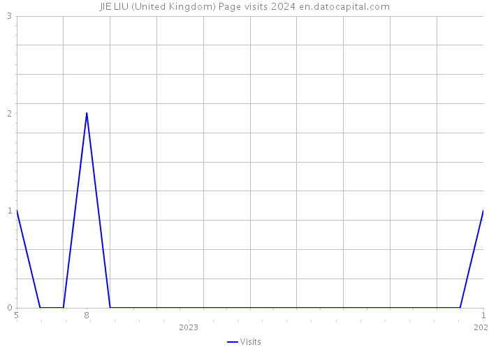 JIE LIU (United Kingdom) Page visits 2024 