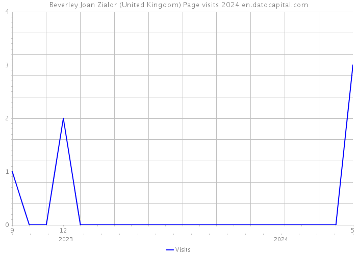 Beverley Joan Zialor (United Kingdom) Page visits 2024 