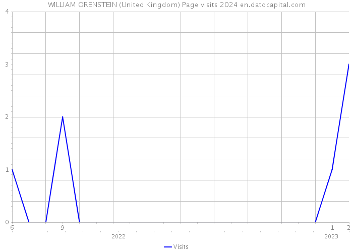 WILLIAM ORENSTEIN (United Kingdom) Page visits 2024 