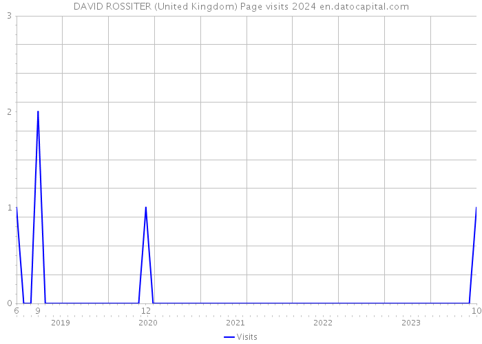 DAVID ROSSITER (United Kingdom) Page visits 2024 