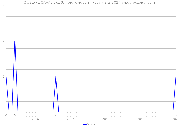 GIUSEPPE CAVALIERE (United Kingdom) Page visits 2024 