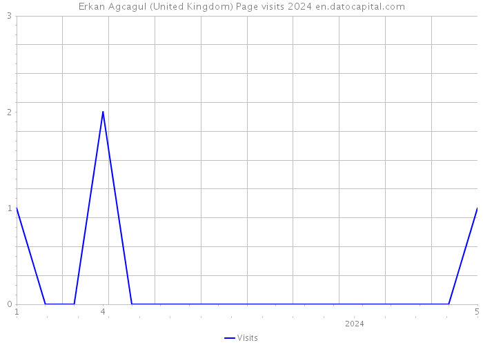 Erkan Agcagul (United Kingdom) Page visits 2024 
