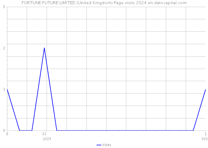 FORTUNE FUTURE LIMITED (United Kingdom) Page visits 2024 