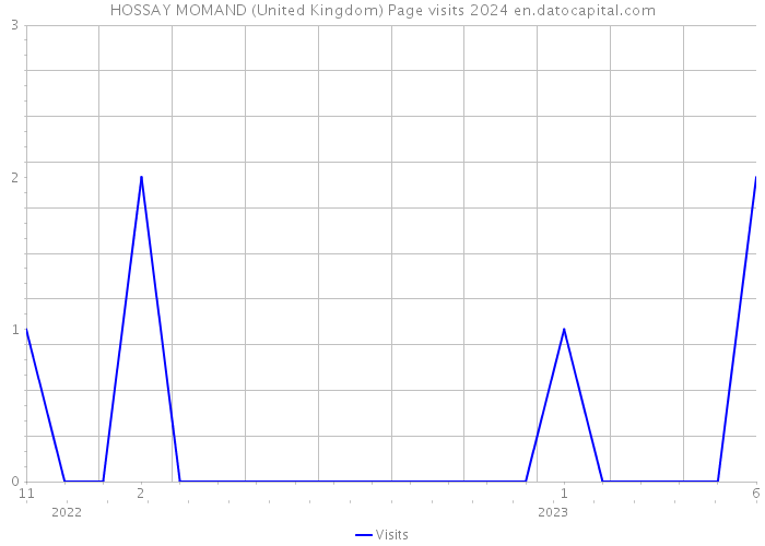 HOSSAY MOMAND (United Kingdom) Page visits 2024 
