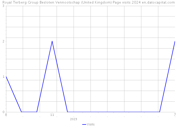 Royal Terberg Group Besloten Vennootschap (United Kingdom) Page visits 2024 