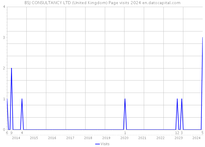 BSJ CONSULTANCY LTD (United Kingdom) Page visits 2024 