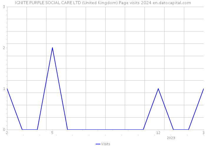 IGNITE PURPLE SOCIAL CARE LTD (United Kingdom) Page visits 2024 
