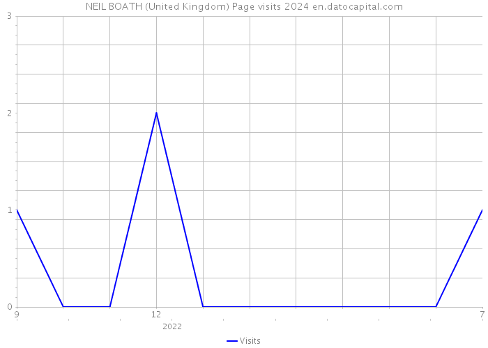 NEIL BOATH (United Kingdom) Page visits 2024 