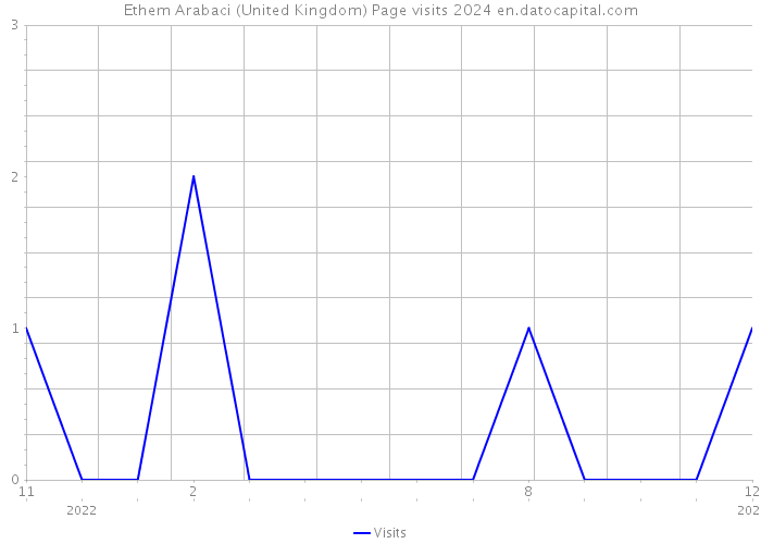 Ethem Arabaci (United Kingdom) Page visits 2024 