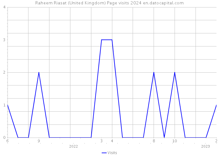 Raheem Riasat (United Kingdom) Page visits 2024 