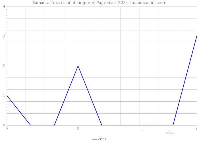 Samanta Tuca (United Kingdom) Page visits 2024 