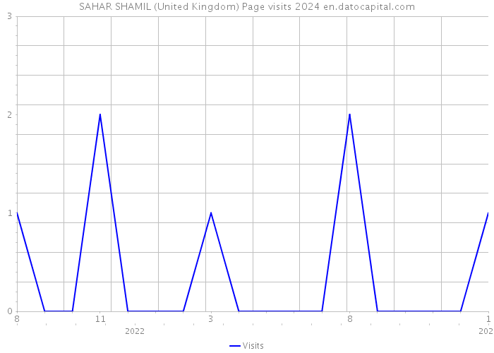 SAHAR SHAMIL (United Kingdom) Page visits 2024 