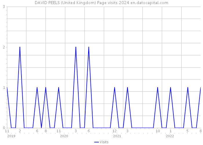 DAVID PEELS (United Kingdom) Page visits 2024 
