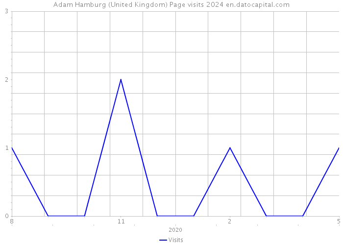 Adam Hamburg (United Kingdom) Page visits 2024 