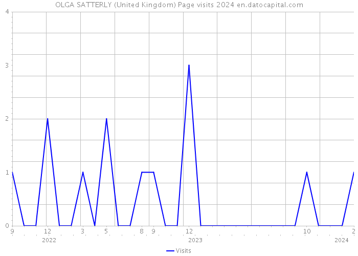 OLGA SATTERLY (United Kingdom) Page visits 2024 
