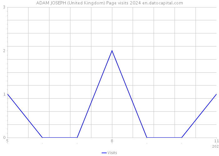 ADAM JOSEPH (United Kingdom) Page visits 2024 