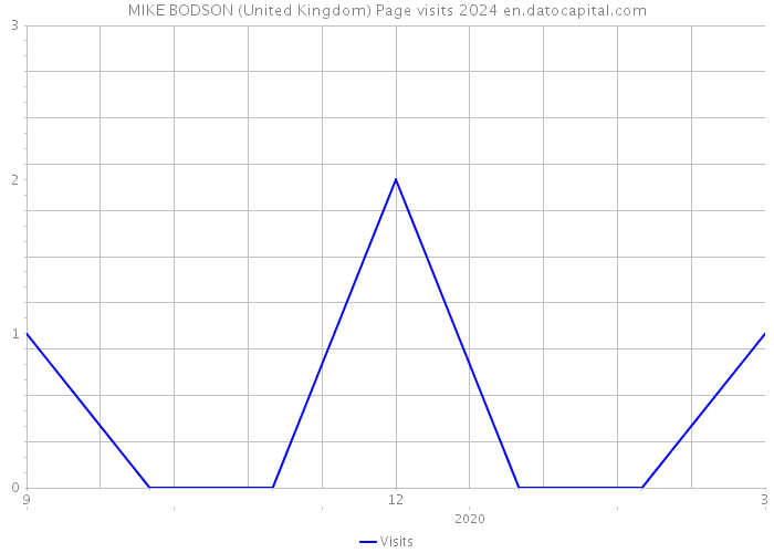 MIKE BODSON (United Kingdom) Page visits 2024 