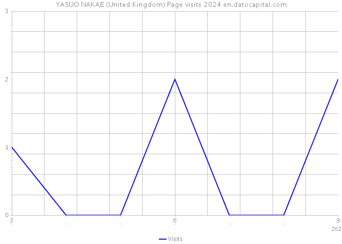 YASUO NAKAE (United Kingdom) Page visits 2024 