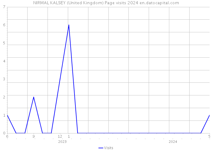 NIRMAL KALSEY (United Kingdom) Page visits 2024 
