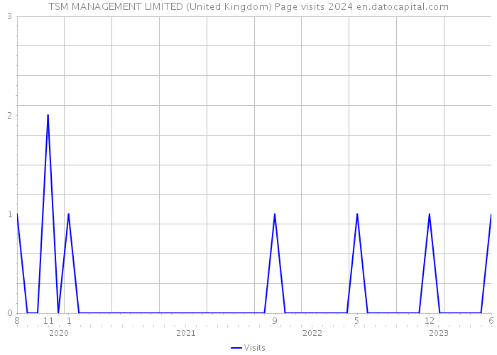 TSM MANAGEMENT LIMITED (United Kingdom) Page visits 2024 