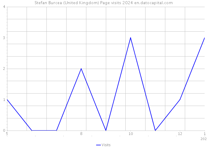 Stefan Burcea (United Kingdom) Page visits 2024 
