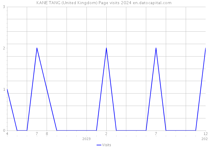 KANE TANG (United Kingdom) Page visits 2024 
