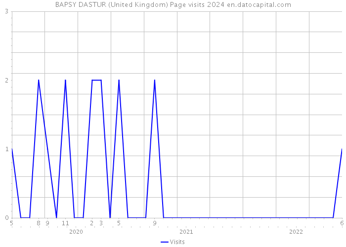 BAPSY DASTUR (United Kingdom) Page visits 2024 