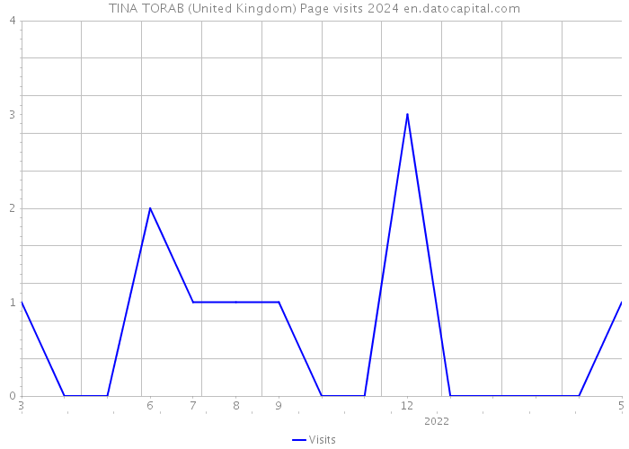 TINA TORAB (United Kingdom) Page visits 2024 