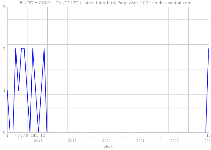FINTECH CONSULTANTS LTD (United Kingdom) Page visits 2024 