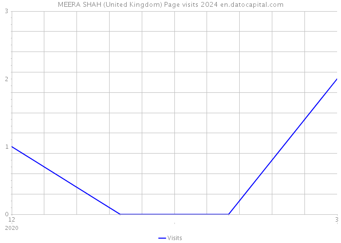 MEERA SHAH (United Kingdom) Page visits 2024 