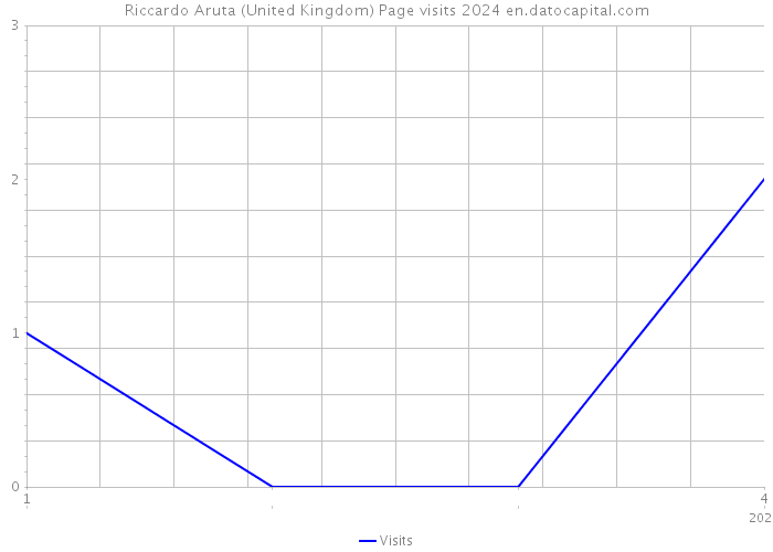 Riccardo Aruta (United Kingdom) Page visits 2024 