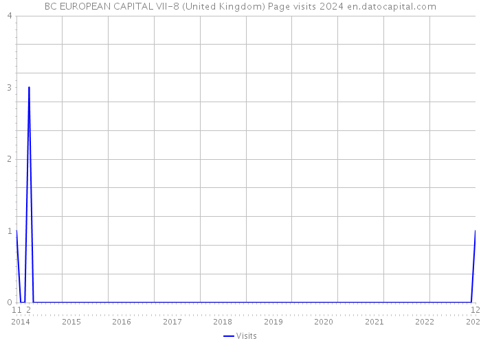 BC EUROPEAN CAPITAL VII-8 (United Kingdom) Page visits 2024 
