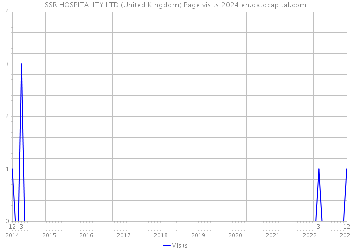 SSR HOSPITALITY LTD (United Kingdom) Page visits 2024 