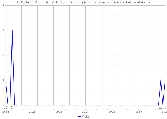 BLUQUANT (GREEN) LIMITED (United Kingdom) Page visits 2024 