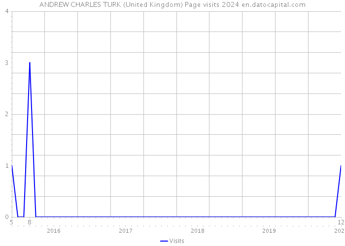 ANDREW CHARLES TURK (United Kingdom) Page visits 2024 