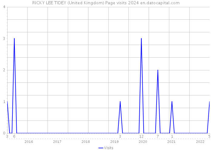 RICKY LEE TIDEY (United Kingdom) Page visits 2024 