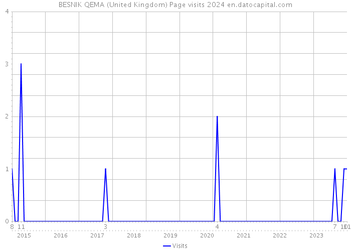 BESNIK QEMA (United Kingdom) Page visits 2024 