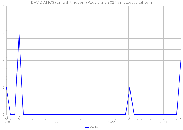 DAVID AMOS (United Kingdom) Page visits 2024 