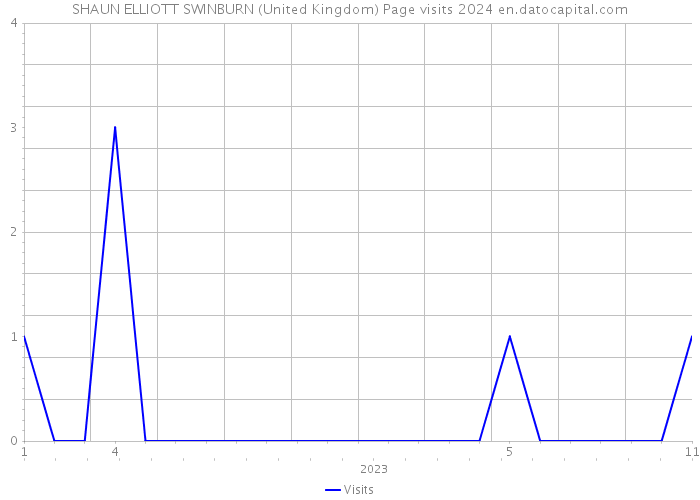 SHAUN ELLIOTT SWINBURN (United Kingdom) Page visits 2024 
