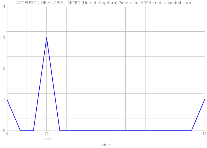 ASCENSION OF ANGELS LIMITED (United Kingdom) Page visits 2024 