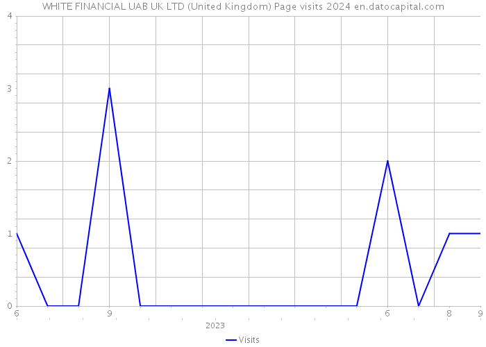 WHITE FINANCIAL UAB UK LTD (United Kingdom) Page visits 2024 