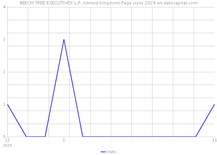 BEECH TREE EXECUTIVES' L.P. (United Kingdom) Page visits 2024 