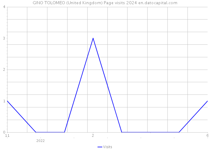 GINO TOLOMEO (United Kingdom) Page visits 2024 