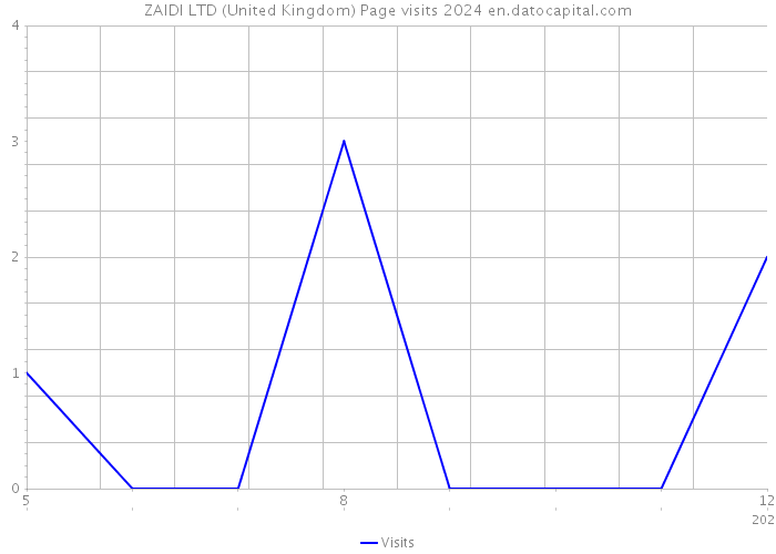 ZAIDI LTD (United Kingdom) Page visits 2024 