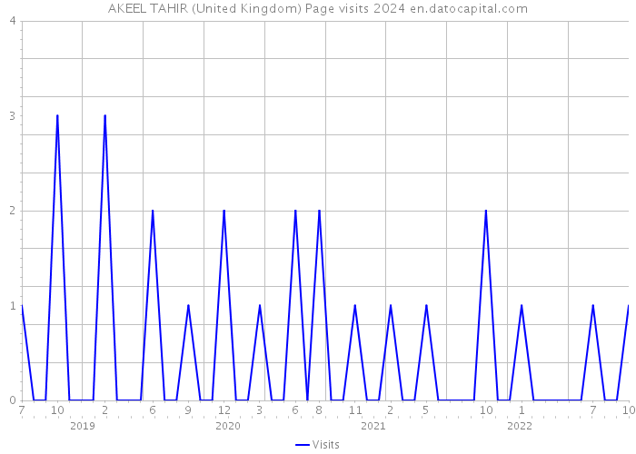AKEEL TAHIR (United Kingdom) Page visits 2024 