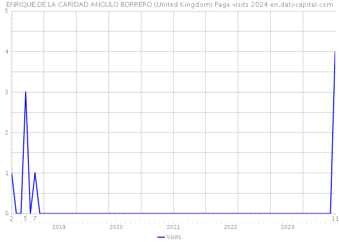 ENRIQUE DE LA CARIDAD ANGULO BORRERO (United Kingdom) Page visits 2024 