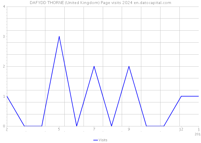 DAFYDD THORNE (United Kingdom) Page visits 2024 